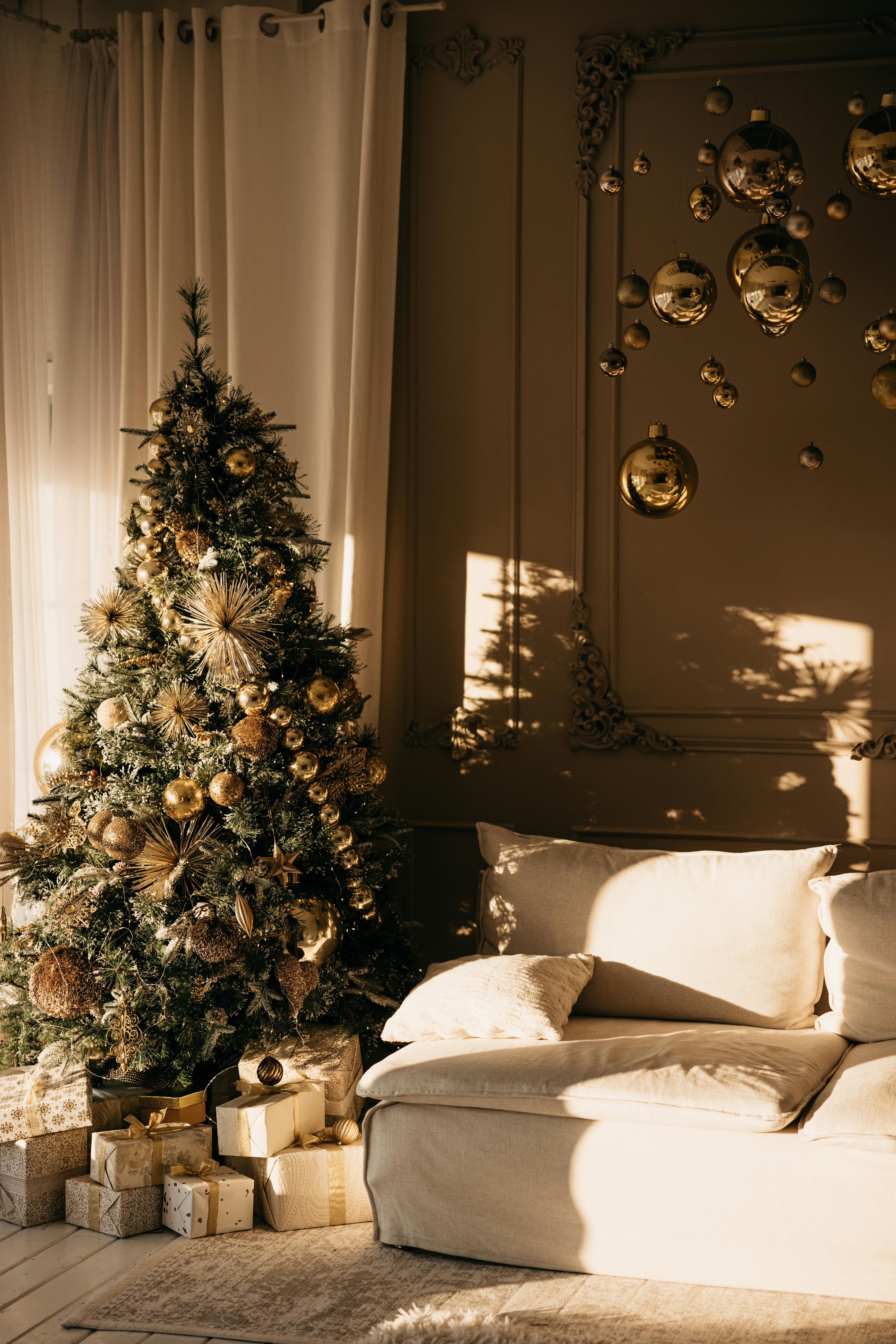 Holiday & Sale